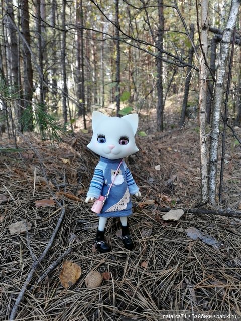 Вот и осень — Куклы Momoko и Ruruko (Petworks (фото 4)