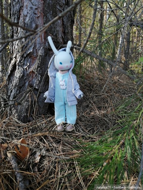 Вот и осень — Куклы Momoko и Ruruko (Petworks (фото 6)