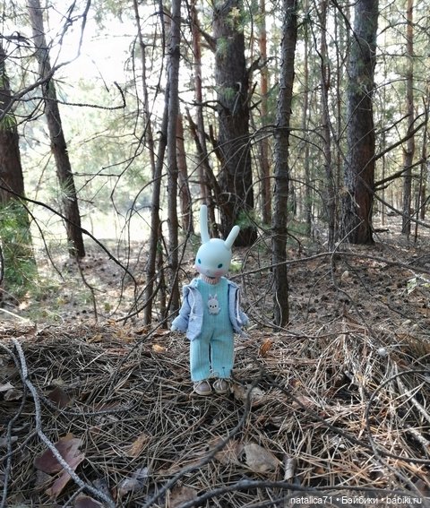 Вот и осень — Куклы Momoko и Ruruko (Petworks (фото 8)