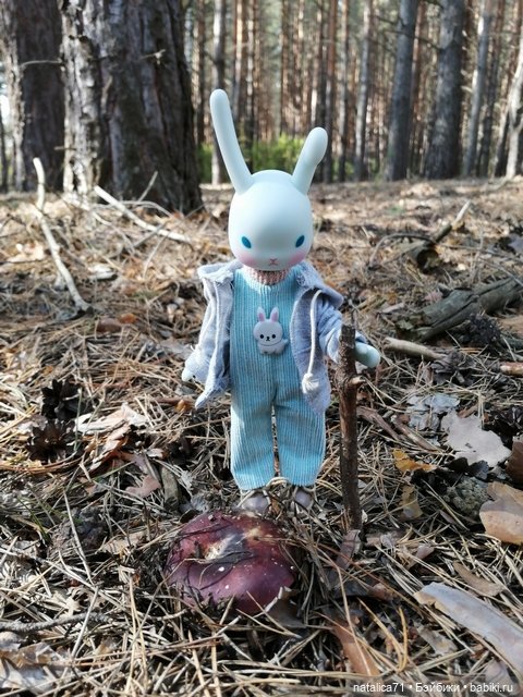 Вот и осень — Куклы Momoko и Ruruko (Petworks (фото 5)