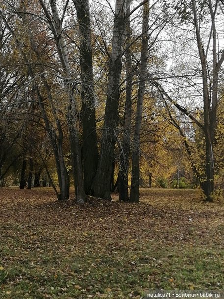 Середина осени — Фигурки Studio