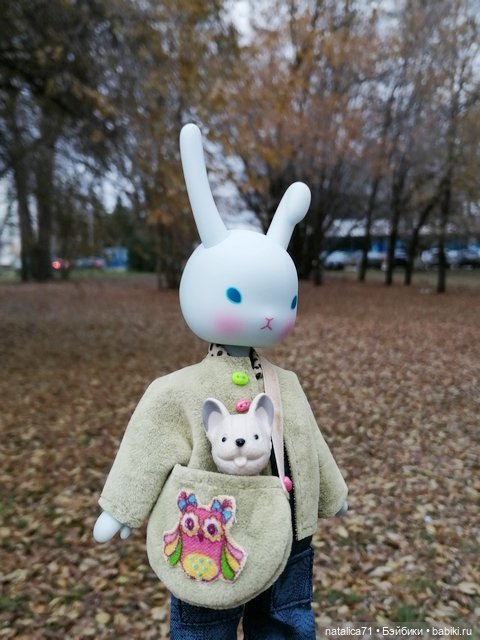 Гуляем с Рози — Куклы Momoko и Ruruko (Petworks (фото 5)