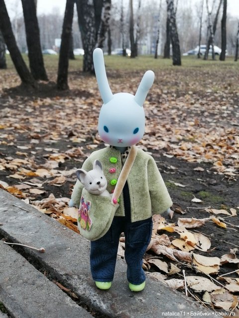 Гуляем с Рози — Куклы Momoko и Ruruko (Petworks (фото 2)