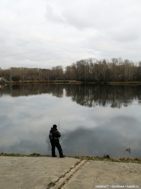 Гуляем с Рози — Куклы Momoko и Ruruko (Petworks