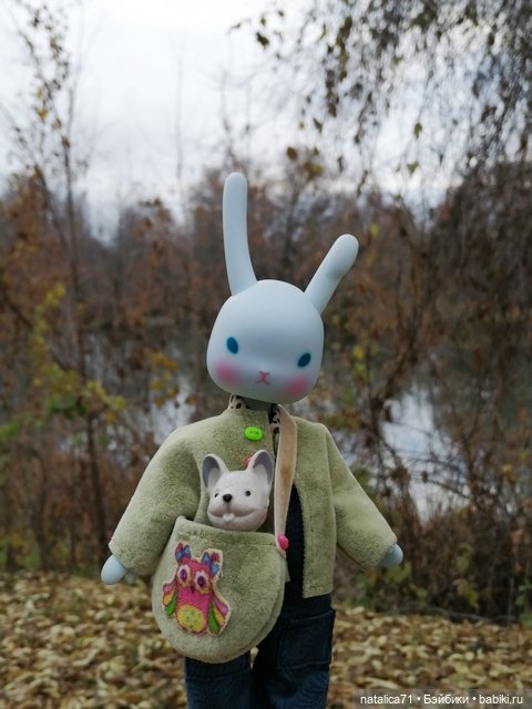 Гуляем с Рози — Куклы Momoko и Ruruko (Petworks (фото 6)