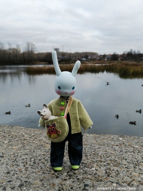 Гуляем с Рози — Куклы Momoko и Ruruko (Petworks (фото 9)