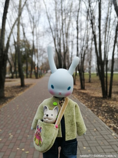 Гуляем с Рози — Куклы Momoko и Ruruko (Petworks