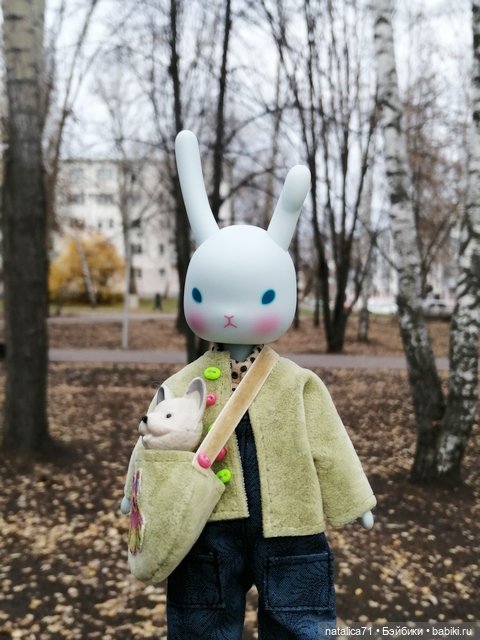 Гуляем с Рози — Куклы Momoko и Ruruko (Petworks (фото 4)