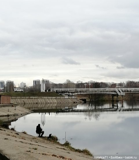 Гуляем с Рози — Куклы Momoko и Ruruko (Petworks