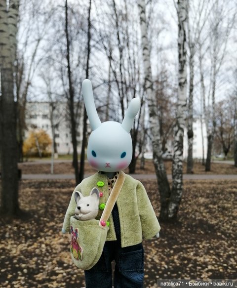 Гуляем с Рози — Куклы Momoko и Ruruko (Petworks (фото 8)