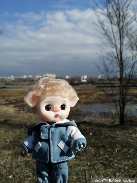 Мой любимец Ромео — Коллекции игровых кукол (Playline): фото полок (фото 6)