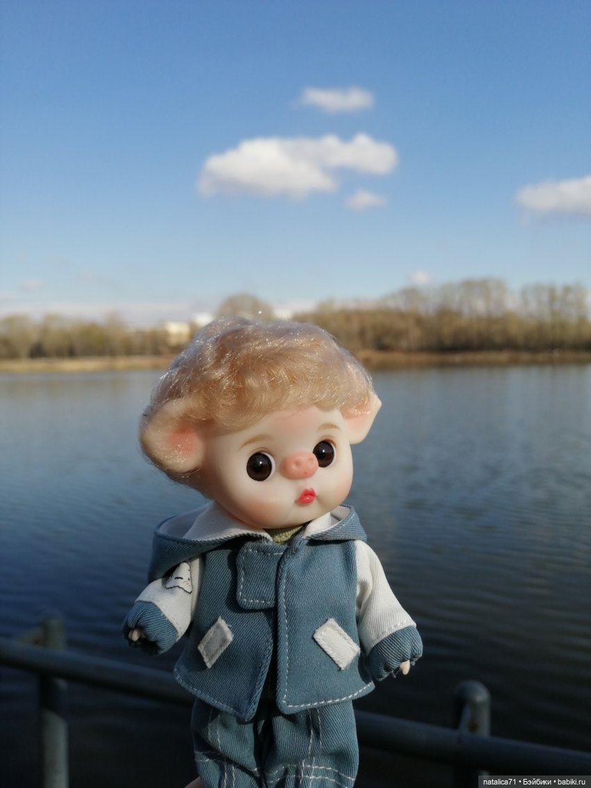 Мой любимец Ромео — Коллекции игровых кукол (Playline): фото полок