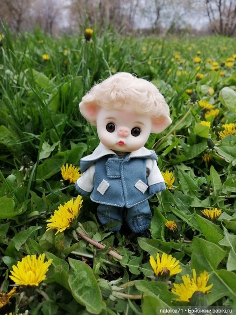 Мой любимец Ромео — Коллекции игровых кукол (Playline): фото полок (фото 2)