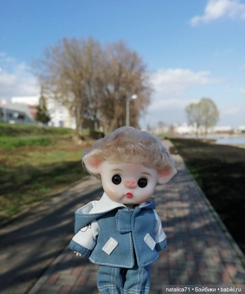 Мой любимец Ромео — Коллекции игровых кукол (Playline): фото полок (фото 5)