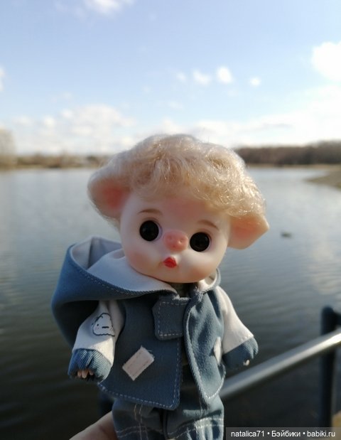 Мой любимец Ромео — Коллекции игровых кукол (Playline): фото полок