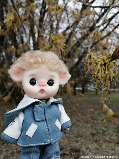 Мой любимец Ромео — Коллекции игровых кукол (Playline): фото полок (фото 4)