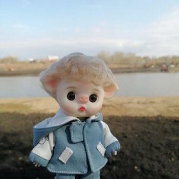 Мой любимец Ромео