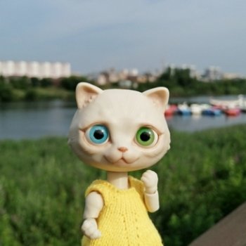 Прогулка по Набережной с котиком