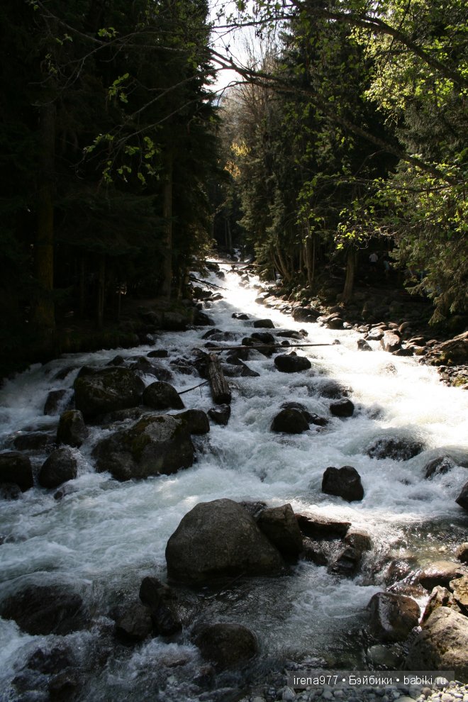 Домбай – страна синего неба, щедрого солнца и снежных вершин, страна, воспетая поэтами