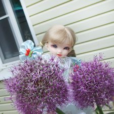 После дождичка в саду)