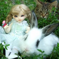 Кролики превращаются... превращаются... А котик улыбается)