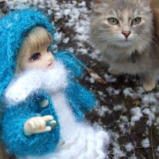 Утром кот принёс на лапах первый снег