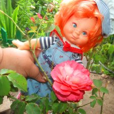 От сердца и почек дарю вам цветочек