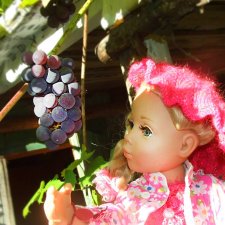 Линка и Иришка - сборщицы винограда