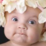 Мои любимые малыши Ли Миддлетон