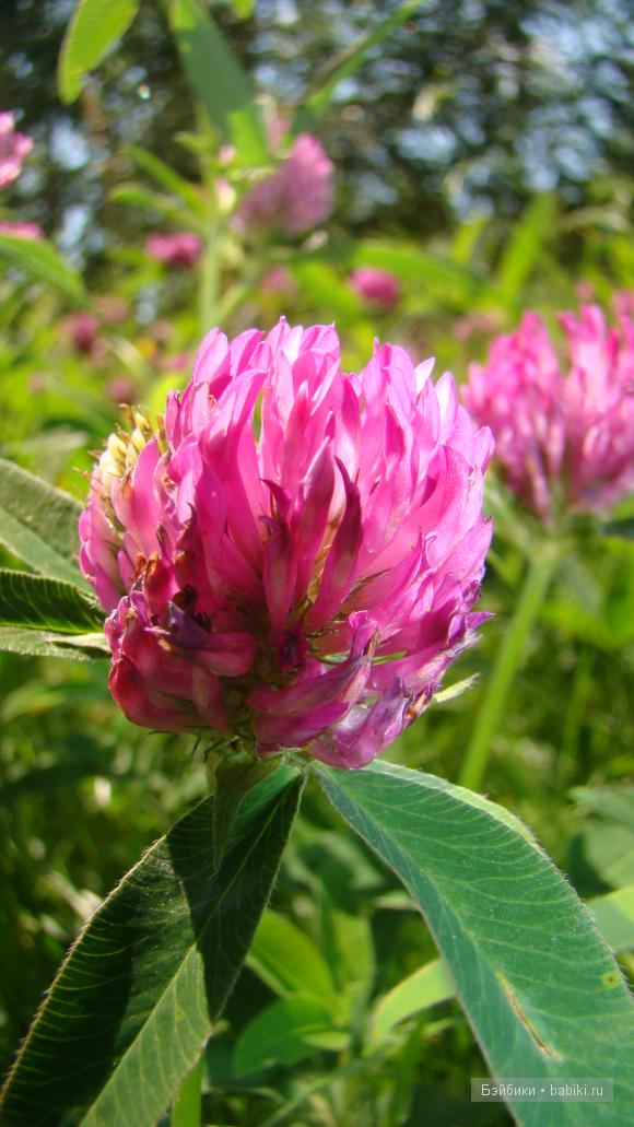 Мое родное Зауралье — Туризм и путешествия: фотоотчеты из поездок