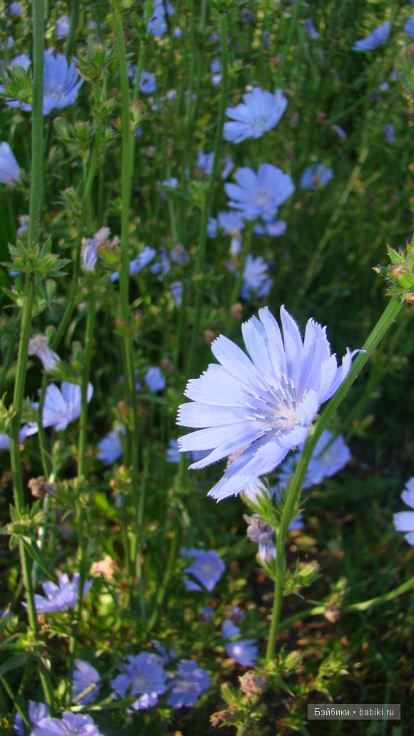 Мое родное Зауралье — Туризм и путешествия: фотоотчеты из поездок (фото 3)