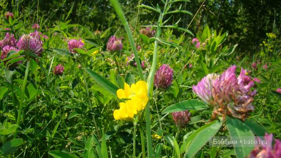 Мое родное Зауралье — Туризм и путешествия: фотоотчеты из поездок (фото 6)
