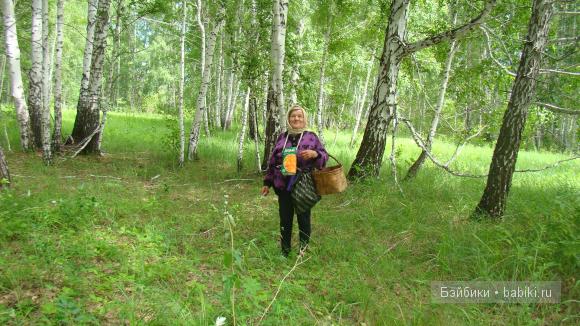 Мое родное Зауралье — Туризм и путешествия: фотоотчеты из поездок