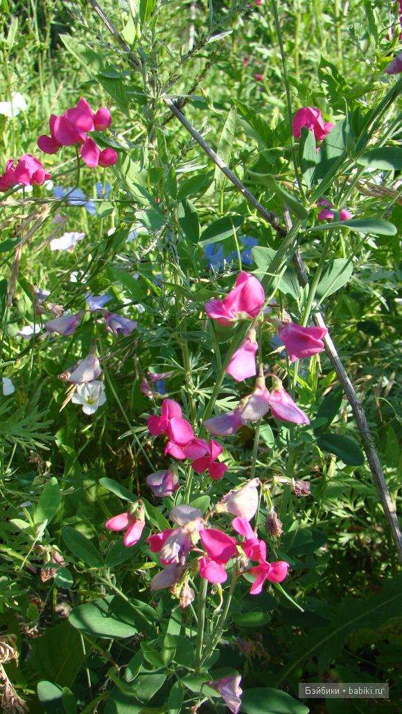 Мое родное Зауралье — Туризм и путешествия: фотоотчеты из поездок