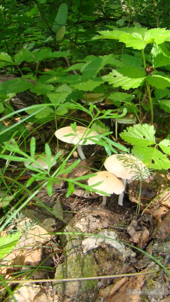 Мое родное Зауралье — Туризм и путешествия: фотоотчеты из поездок