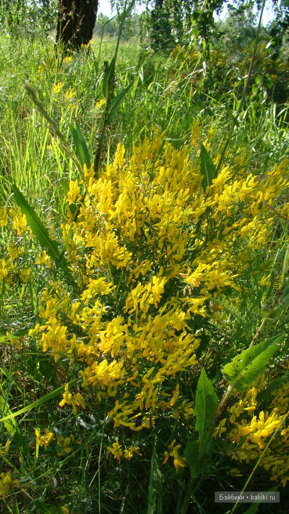 Мое родное Зауралье — Туризм и путешествия: фотоотчеты из поездок (фото 2)