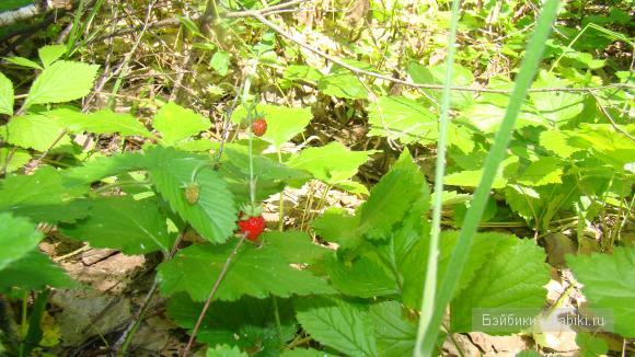 Мое родное Зауралье — Туризм и путешествия: фотоотчеты из поездок