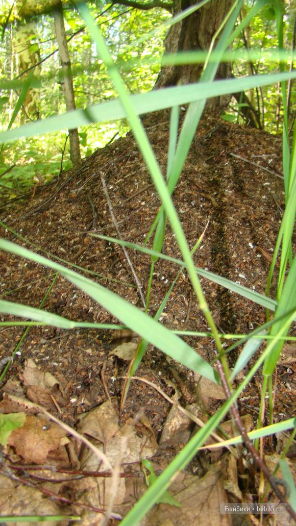Мое родное Зауралье — Туризм и путешествия: фотоотчеты из поездок (фото 4)