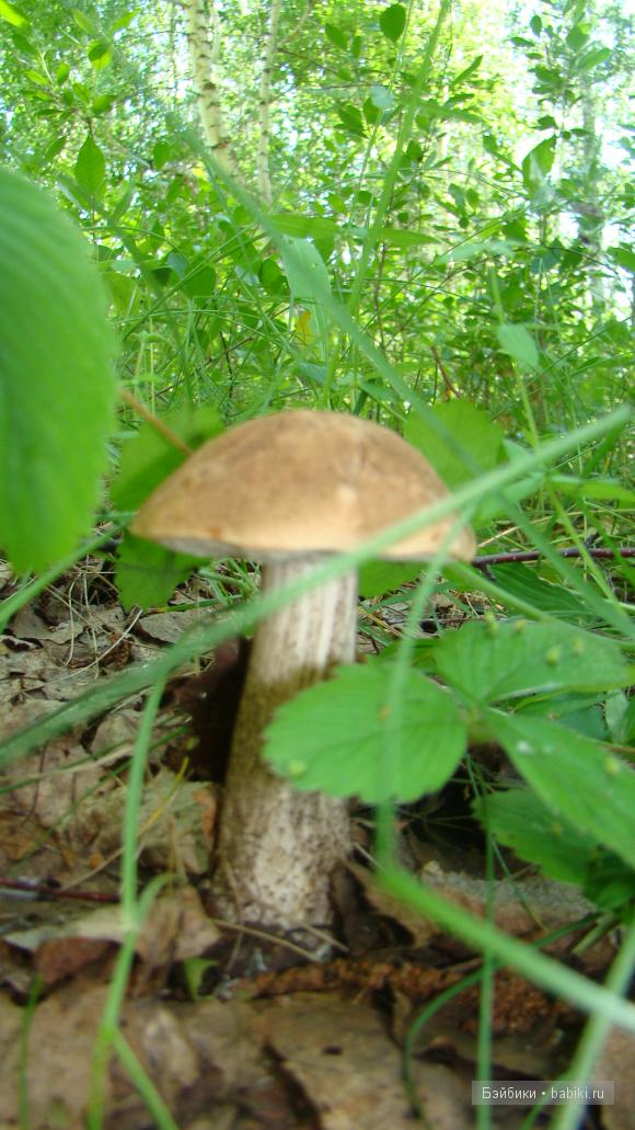 Мое родное Зауралье — Туризм и путешествия: фотоотчеты из поездок