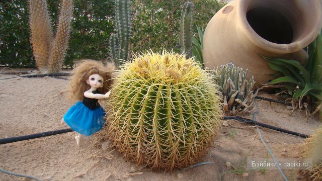 В ожидании лета — Куклы Fairyland (ФэйриЛэнд): BJD (БЖД)