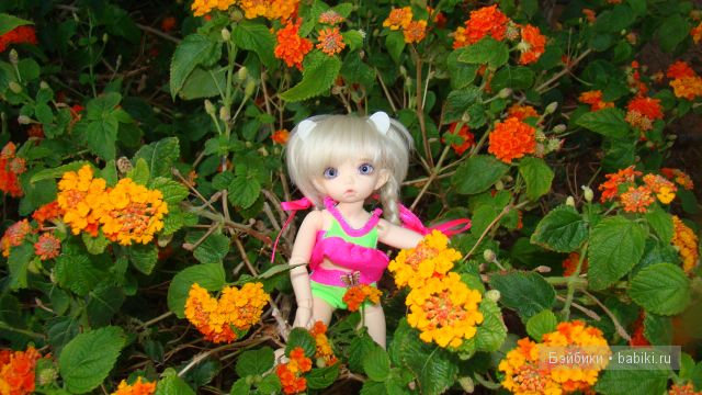 В ожидании лета — Куклы Fairyland (ФэйриЛэнд): BJD (БЖД)