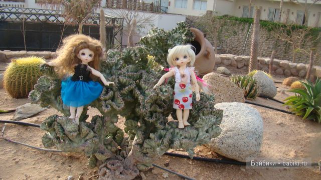 В ожидании лета — Куклы Fairyland (ФэйриЛэнд): BJD (БЖД)