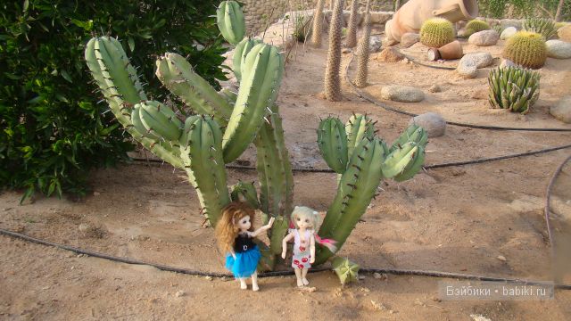 В ожидании лета — Куклы Fairyland (ФэйриЛэнд): BJD (БЖД)