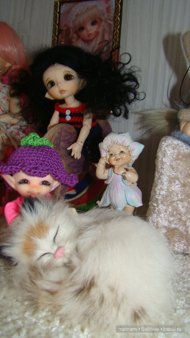 Мои любимки бжд — Коллекции кукол BJD (БЖД): фото витрин