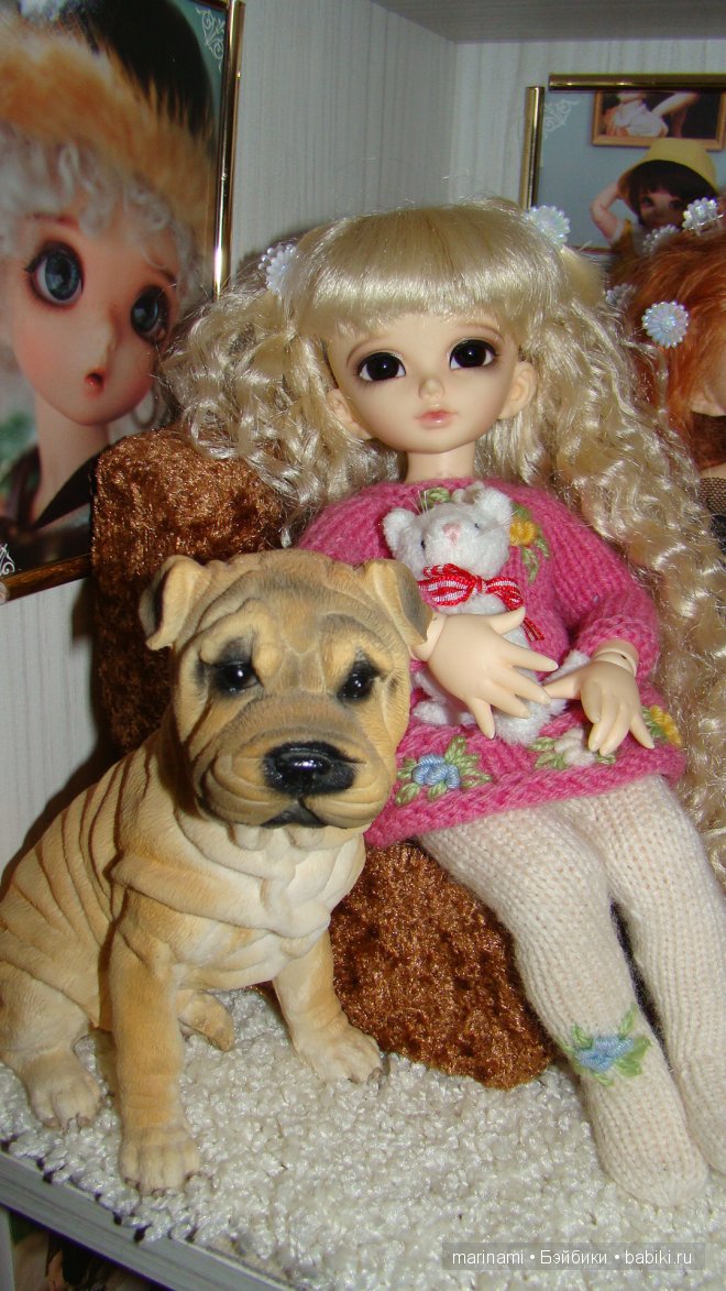 Мои любимки бжд — Коллекции кукол BJD (БЖД): фото витрин