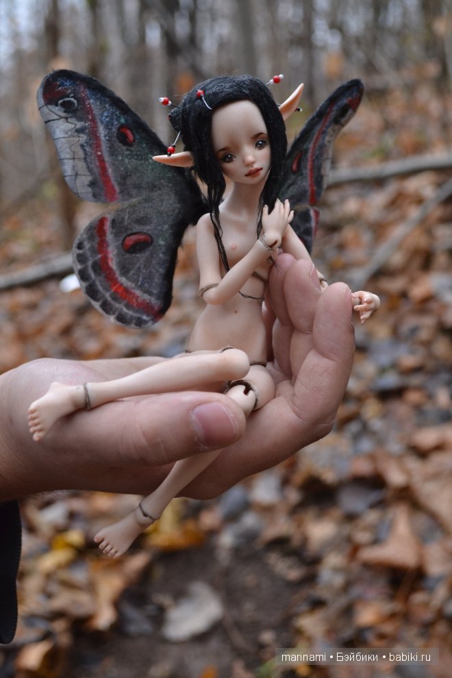 мой мотылёк