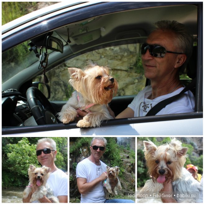 Да, да, да, это Кавказ — Туризм и путешествия: фотоотчеты из поездок