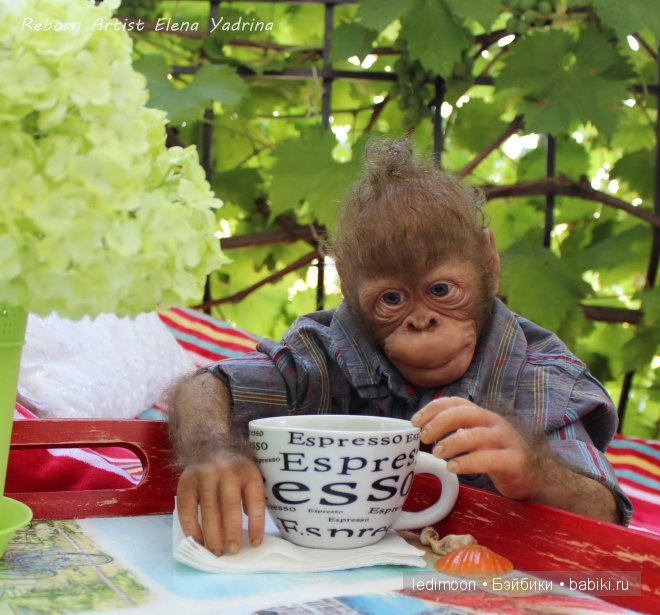 Рафаэль. Куклы реборн Елены Ядриной