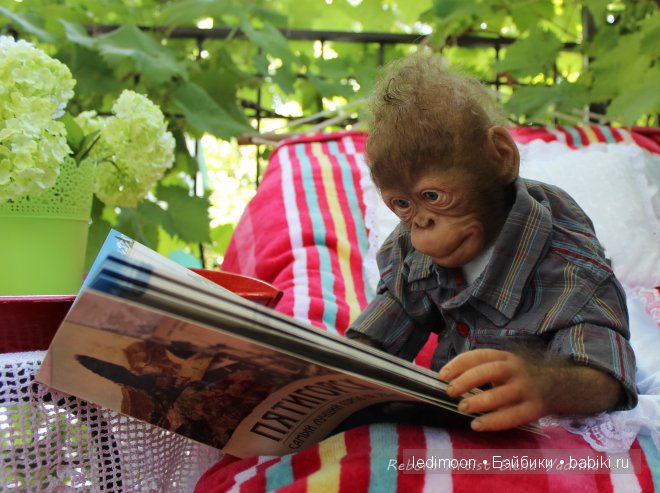 Рафаэль. Куклы реборн Елены Ядриной