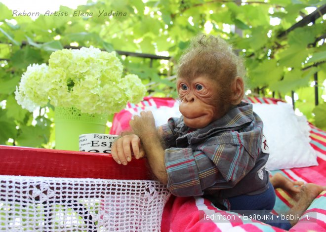 Рафаэль. Куклы реборн Елены Ядриной (фото 7)